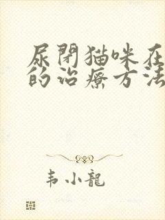 尿闭猫咪在家中的治疗方法