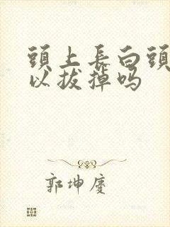 头上长白头发可以拔掉吗