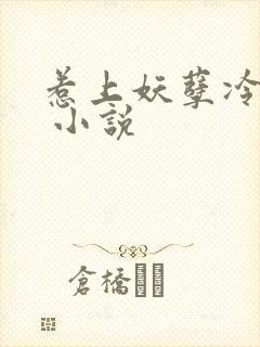 惹上妖孽冷殿下 小说