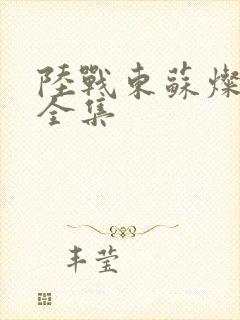 陆战东苏灿免费全集