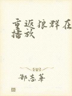 重返狼群在哪里播放