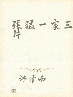 张猛一家三口照片