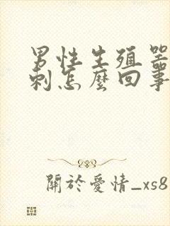 男性生殖器长粉刺怎么回事