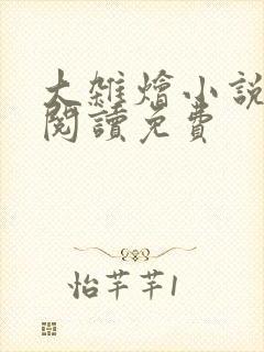 大杂烩小说全集阅读免费封面