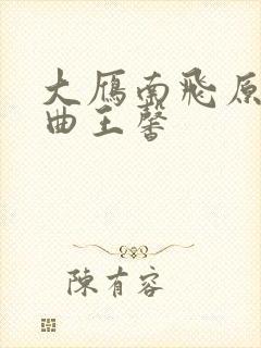 大雁南飞原唱歌曲王馨封面