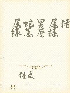 属蛇男属猪女姻缘怎么样