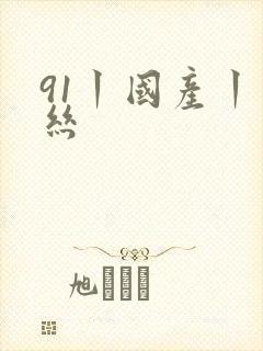 91丨国产丨白丝