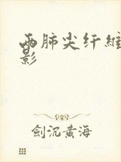 两肺尖纤维索条影