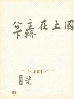 公主在上国师请下轿