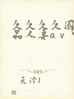 久久久久国产精品人妻aⅴ中出