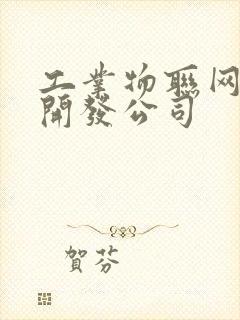 工业物联网平台开发公司