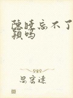 陈晓忘不了赵丽颖吗封面