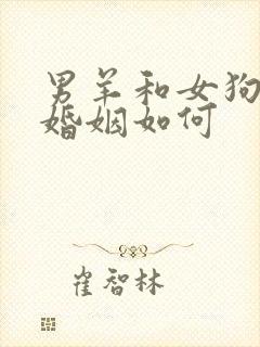 男羊和女狗相配婚姻如何封面