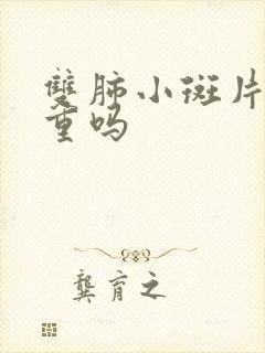 双肺小斑片影严重吗