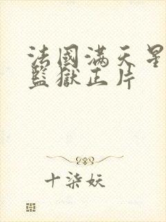 法国满天星高压监狱正片