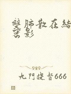 双肺散在结节致密影