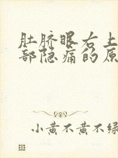 肚脐眼右上侧腹部隐痛的原因封面