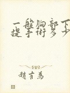 一般胸部下垂上提手术多少钱封面