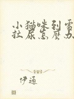 小猫咪到处拉屎拉尿怎么办