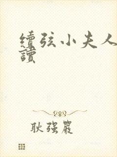 续弦小夫人 阅读