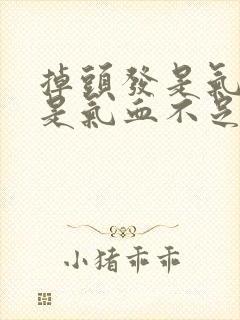 掉头发是气虚还是气血不足