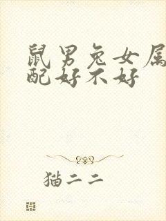 鼠男兔女属相婚配好不好封面