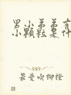 男小弟弟有白色小颗粒是什么