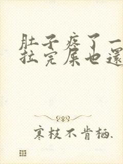 肚子疼了一晚上拉完屎也还疼