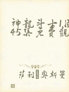 神龙斗士1国语45集免费观看