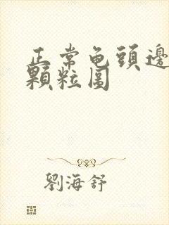 正常龟头边缘小颗粒图