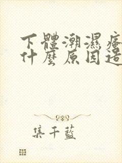 下体潮湿瘙痒是什么原因造成的