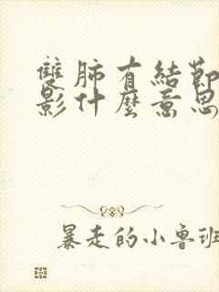 双肺有结节斑点影什么意思