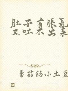 肚子有胀气想吐又吐不出来怎么回事