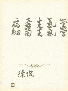 病毒支气管炎和细菌支气管炎的区别