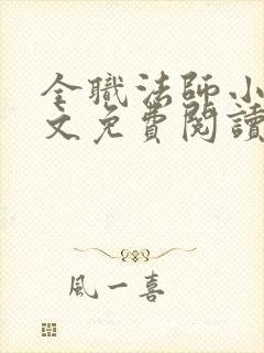 全职法师小说全文免费阅读无弹窗