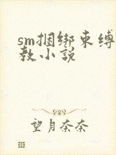 sm捆绑束缚调教小说