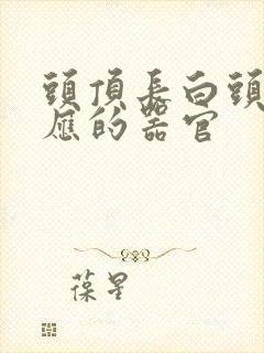 头顶长白头发对应的器官