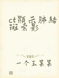 ct显示肺结节斑索影封面