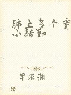 肺上多个实性微小结节