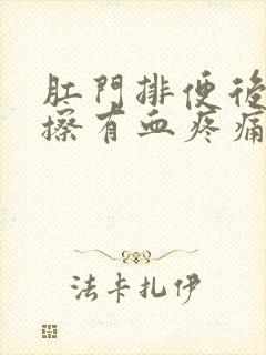 肛门排便后用纸擦有血疼痛感