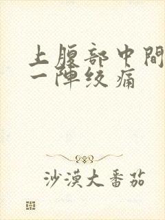 上腹部中间一阵一阵绞痛