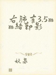 右肺有3.5mm结节影封面