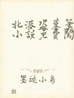 北派盗墓笔记 小说免费阅读全集