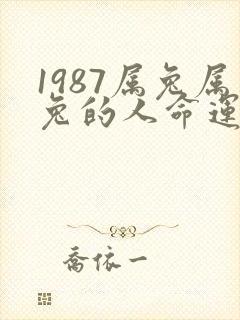 1987属兔属兔的人命运如何封面