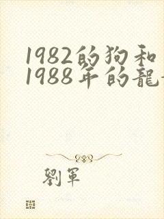 1982的狗和1988年的龙婚配如何封面