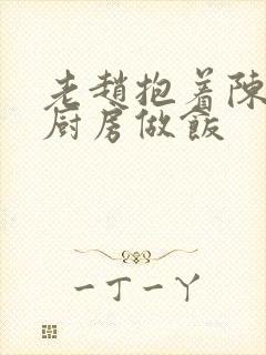 老赵抱着陈婷在厨房做饭封面