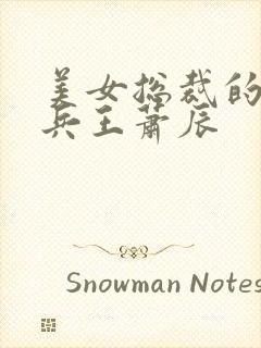 美女总裁的贴身兵王萧辰