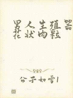 男人生殖器长菜花状肉粒