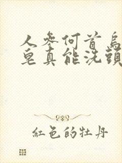 人参何首乌洗头皂真能洗头发了变黑吗封面