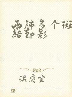 两肺多个斑点小结节影